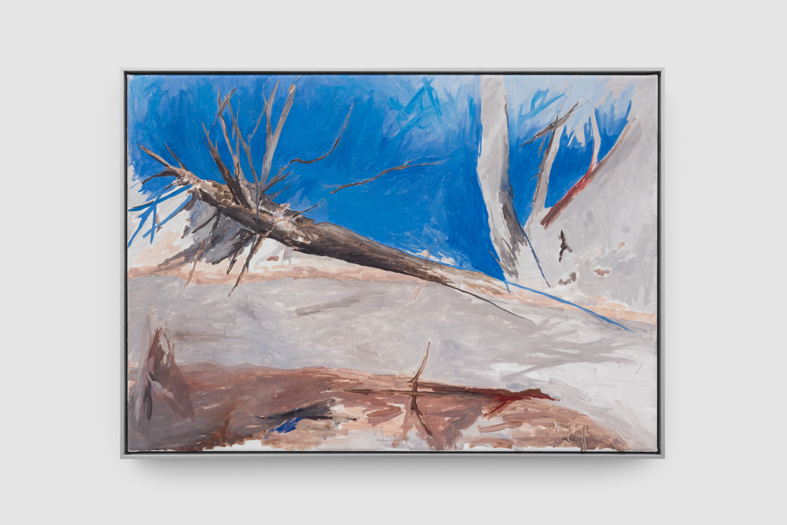 BrunetteColeman_Ref-14457