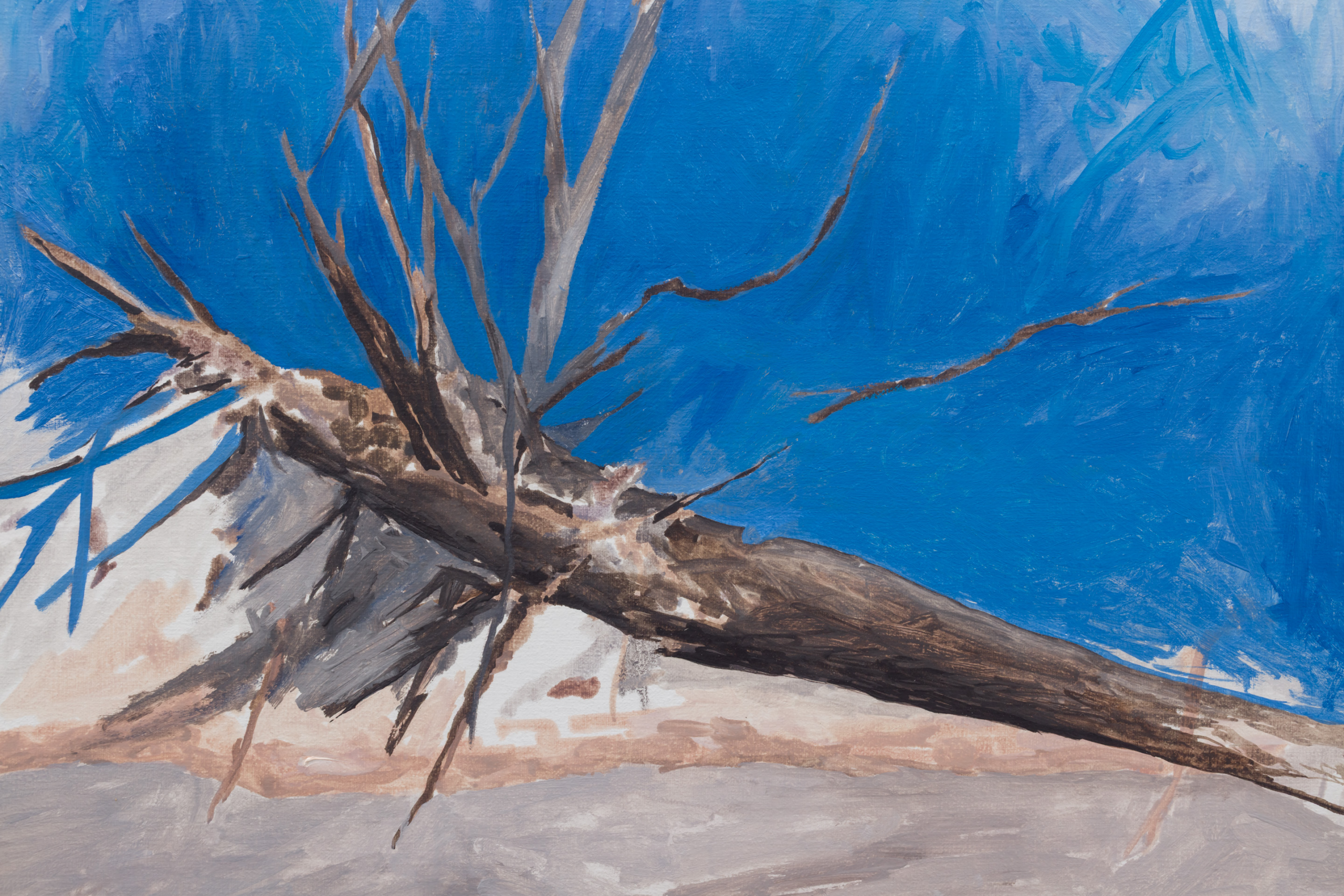 BrunetteColeman_Ref-14459